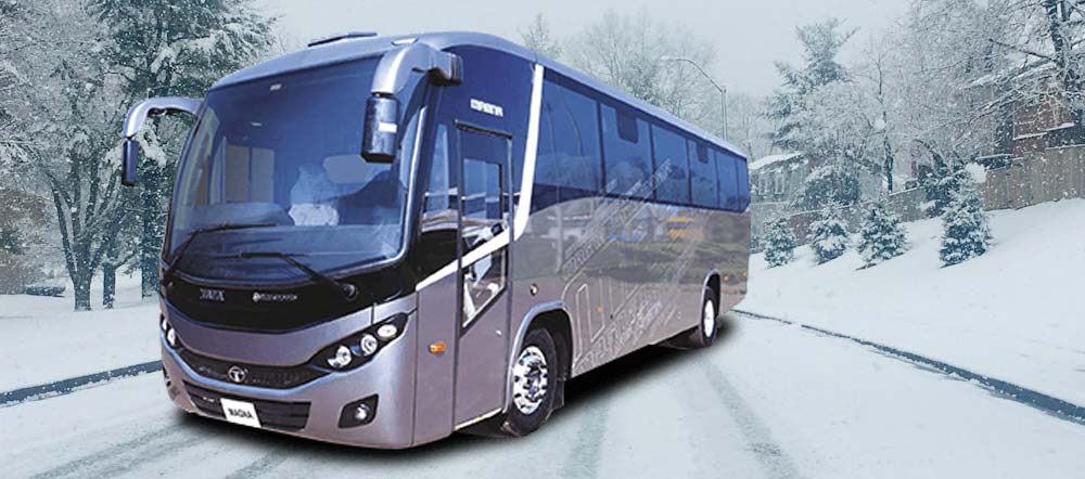 Mt Buller coach 